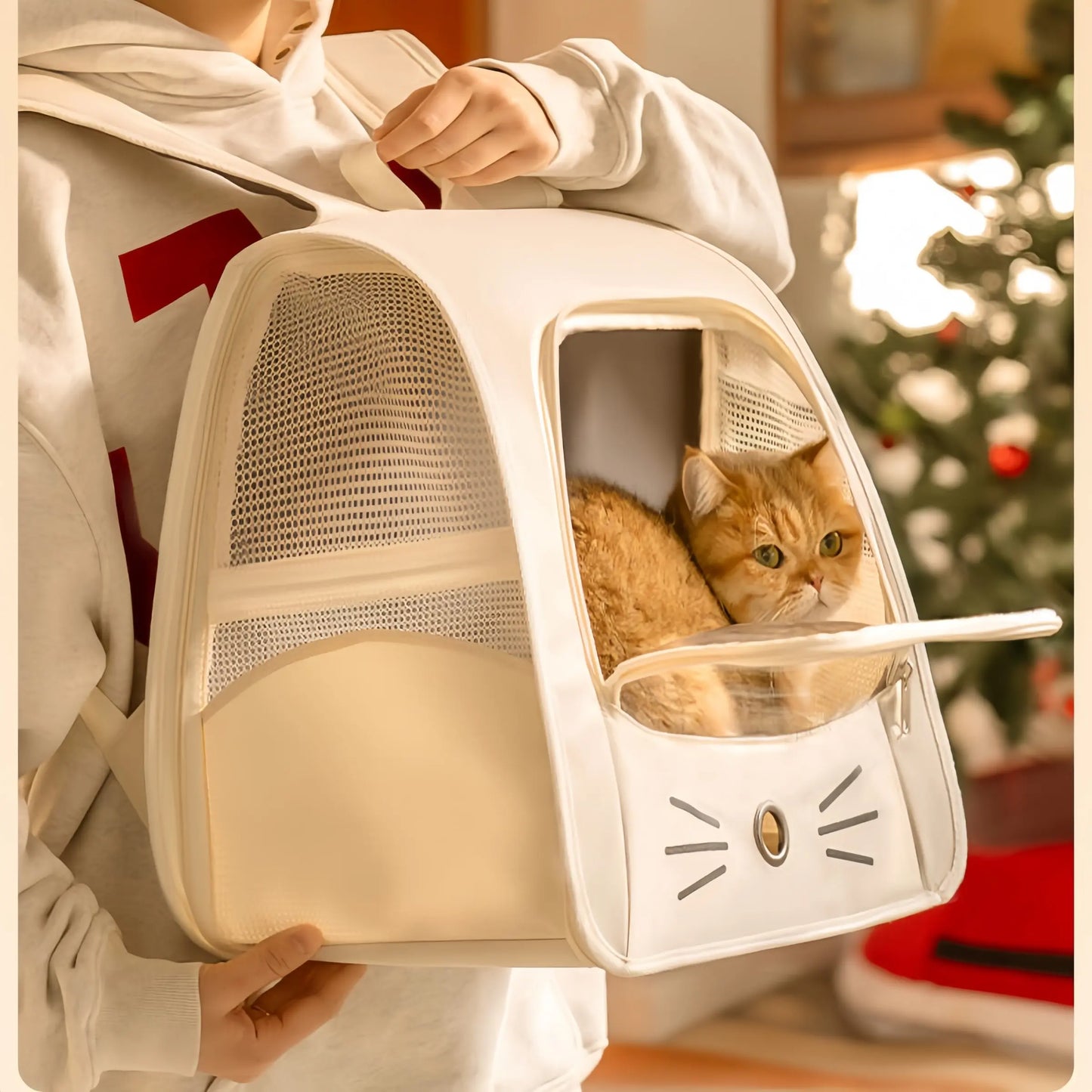 Transparent Cat Backpack with Ventilation Holes, Durable Travel Bag, Portable Breathable Pet Transport Box, Animal Carrier, Essential Pet Supplies for Cats and Dogs