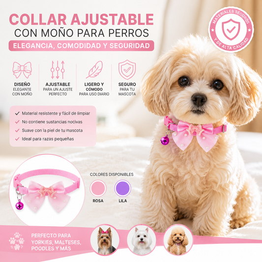 🐶 Collar Elegante con Moño para Perros | ¡Haz que tu Mascota Destaque!