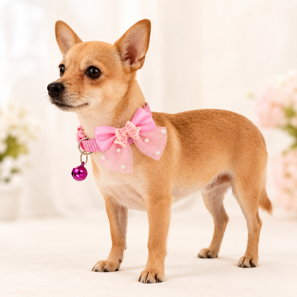 🐶 Collar Elegante con Moño para Perros | ¡Haz que tu Mascota Destaque!
